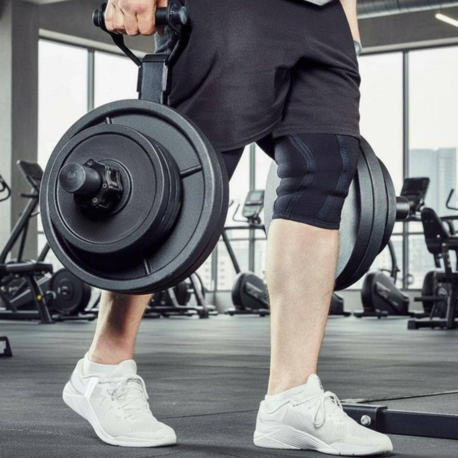 Multi-size Barbell Plate Holde - Fitness Equipment review and price
