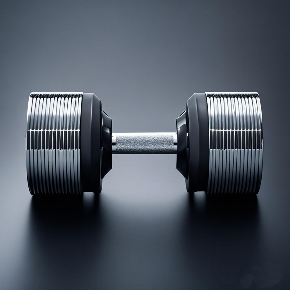 40kg Adjustable Increments Dum - Adjustable Dumbbell Pair 40Kg review and price