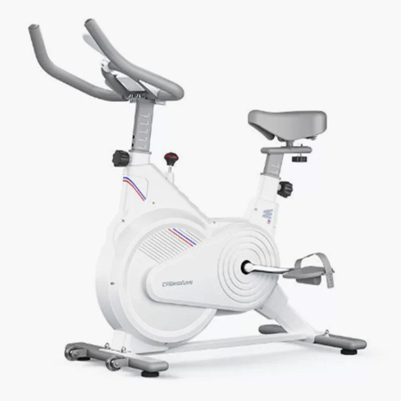 Indoor Stationary Spin Bike, S - Exercise Bike Magnetic Resistance review and price