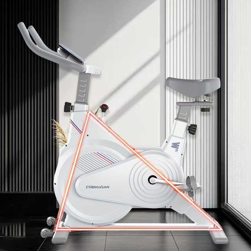 Indoor Stationary Spin Bike, S - Exercise Bike Magnetic Resistance review and price