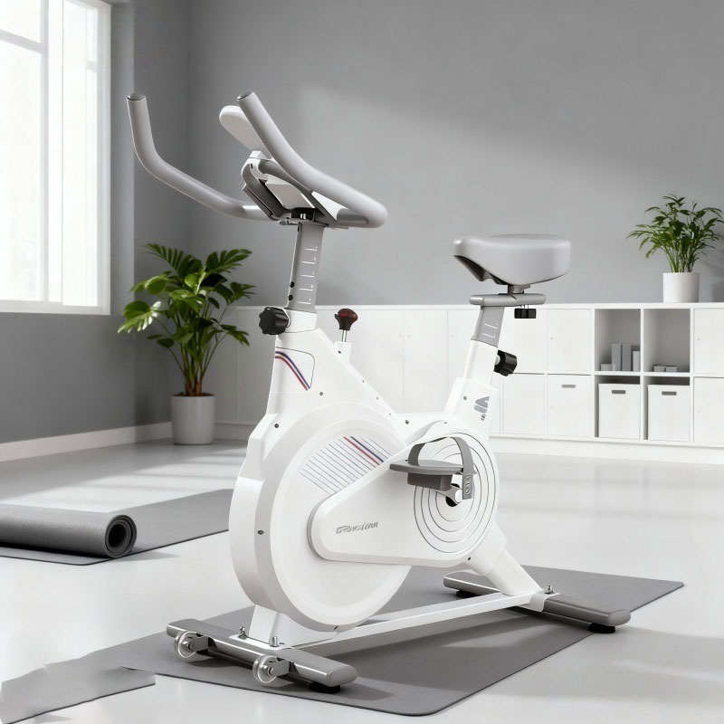 Indoor Stationary Spin Bike, S - Exercise Bike Magnetic Resistance review and price