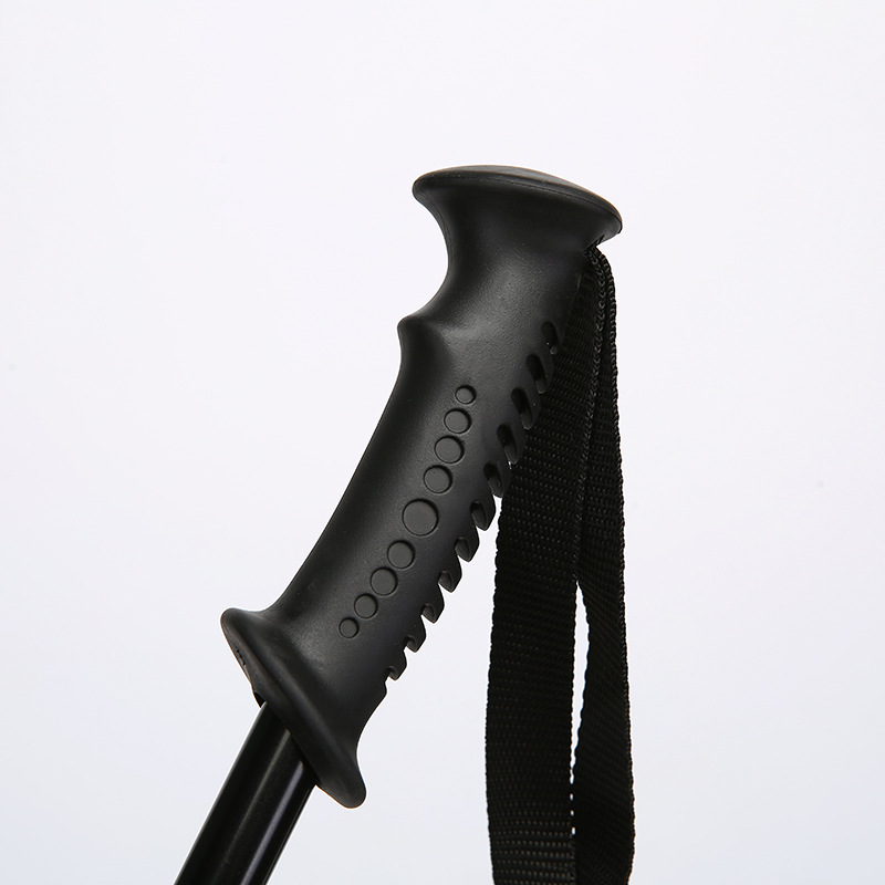 2-section Adjustable Telescopi - Hiking review and price