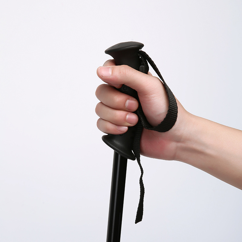 2-section Adjustable Telescopi - Hiking review and price