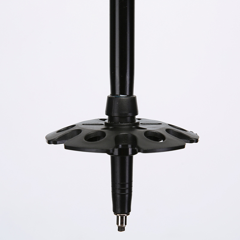 2-section Adjustable Telescopi - Hiking review and price